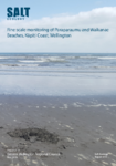 Fine scale monitoring of Paraparaumu and Waikanae Beaches, Kāpiti Coast, Wellington preview