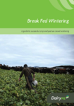 Break Fed Wintering by DairyNZ preview