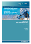 Groundwater in the Ruamāhanga Whaitua by Tessa Bunny et al preview