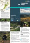 Pākuratahi Forest brochure preview