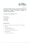 Confirmed Public minutes of the Chief Executive Employment Committee meeting 13 August 2024 preview