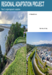 Regional Adaptation Project preview