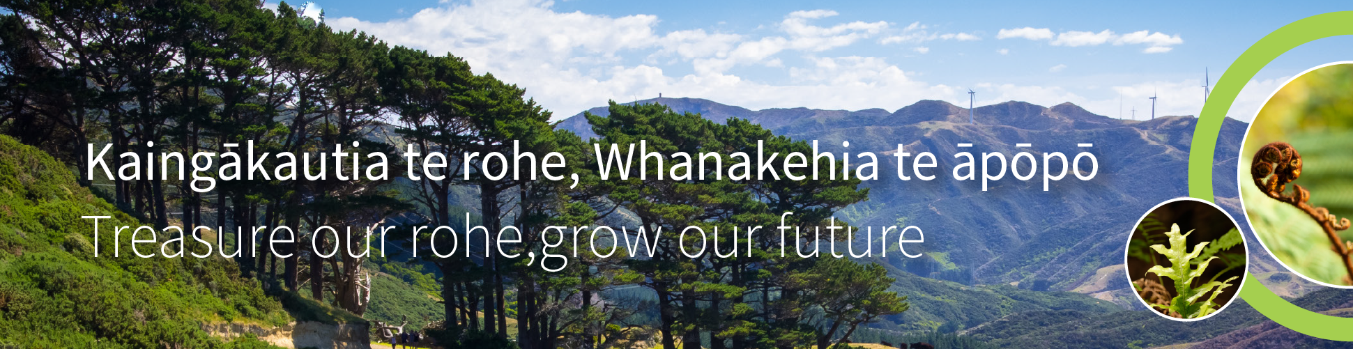 Banner showing a view of forested hills and the text Kaingākautia te rohe, Whanakehia te āpōpō, Treasure our rohe, grow our future