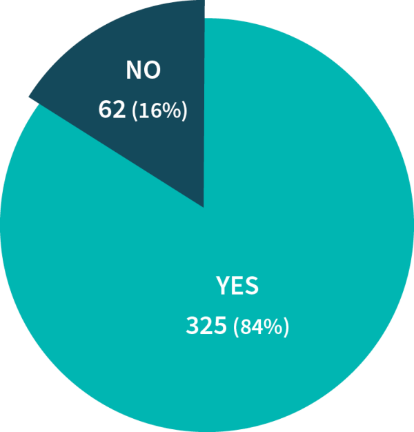 Pie graph showing that 62 people (16%) said no and 325 (84%) said yes to the question 'Do you support the development of a Greater Wellington controlled bus depot in Lyall Bay?'